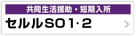 セルルSO